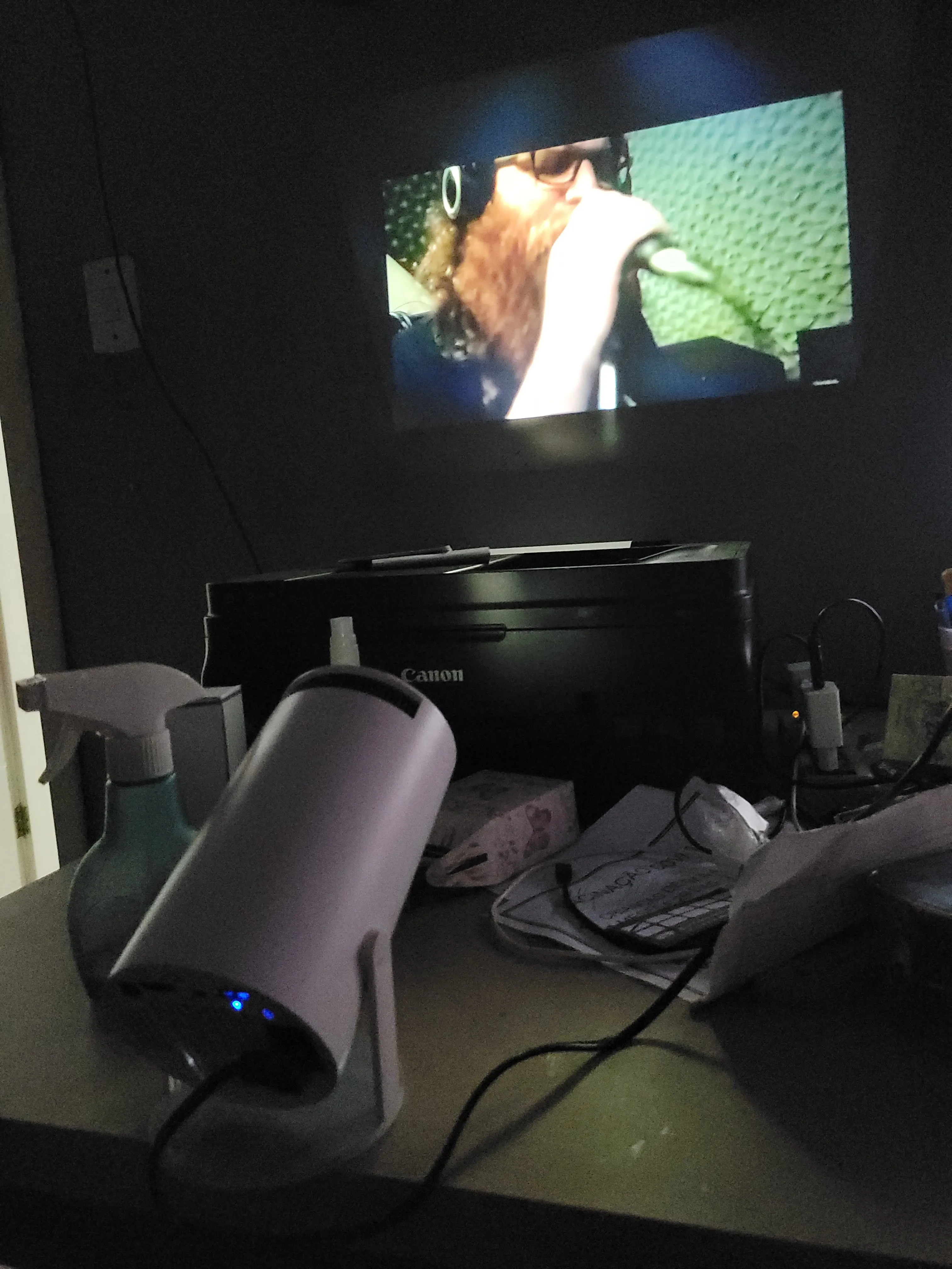 Minictor Projector photo review